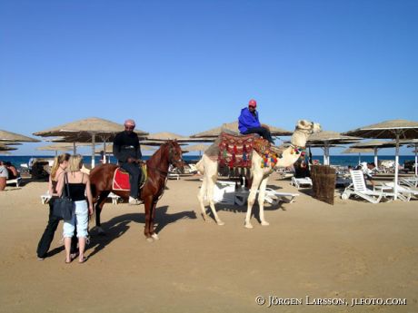 Egypt Hurghada