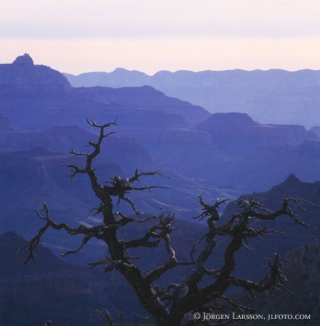 Grand Canyon South Rim Arizona