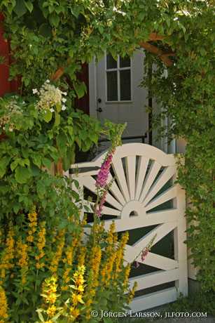 Grind blommor Sandhamn Stockholms skärgård grindar