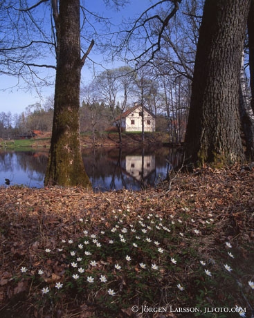 Havla Ostergotland