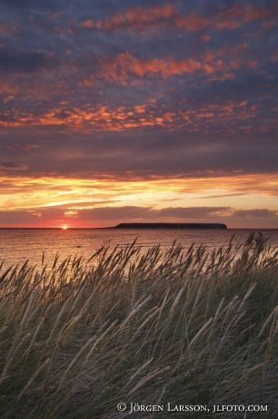 Sunset in the sea