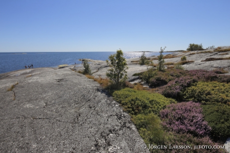 Huvudskär