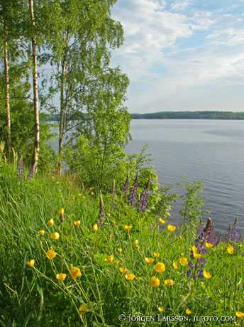 Nedre Blomsjön Värmland