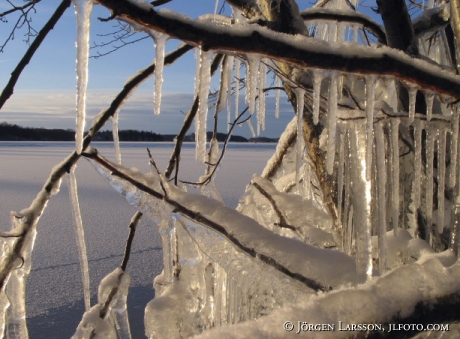 Vinter vid Mälaren Rödstensfjärden