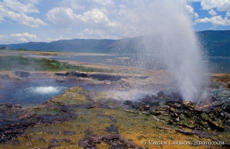 Lake Bogoria Kenya