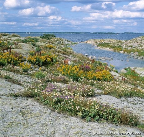 Lekskaren Smaland Sweden