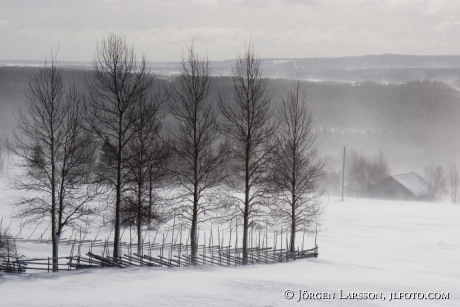 Mattmar i snörök Jämtland