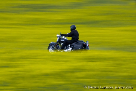 Motorcycle in the field