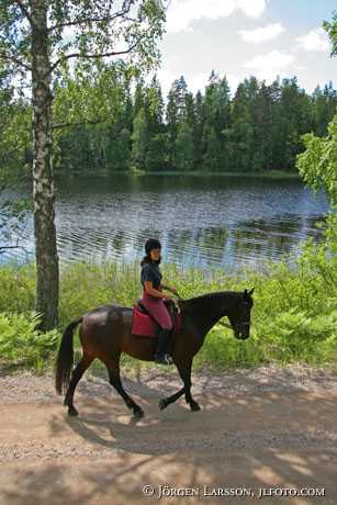 Ryttare vid sjön Fläten Östergötland