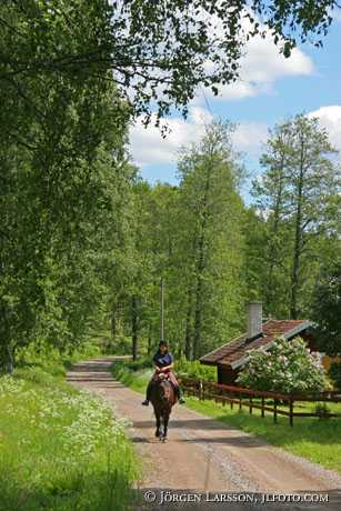 Ryttare vid sjön Fläten Östergötland