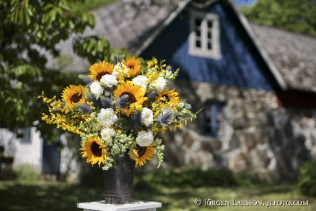 Blandade blommor 