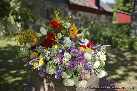 Blandade blommor i låda