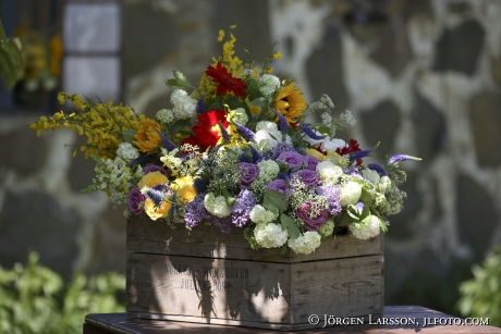 Blandade blommor i låda