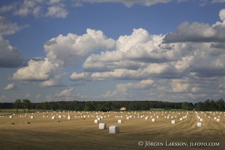 Ericsberg utanför Katrineholm