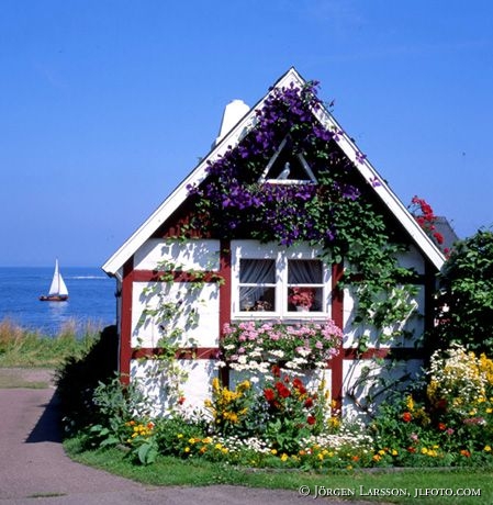 Hus i Skåne Arild