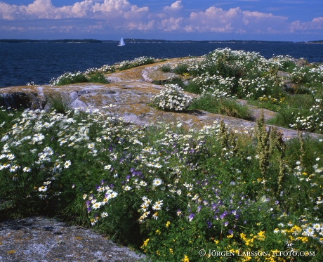 Lekskaren Smaland