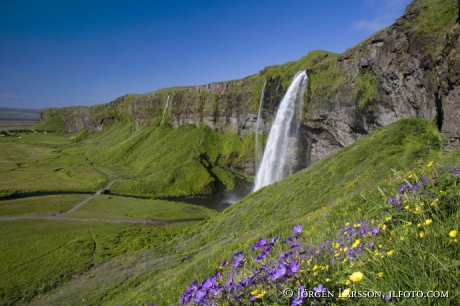 Seljalandsfoss Island