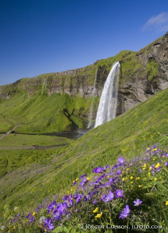 Seljalandsfoss Island