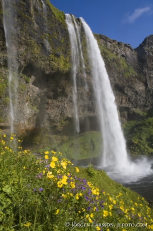 Seljalandsfoss Island