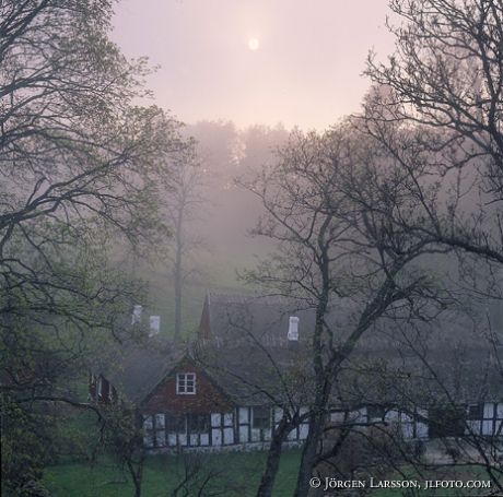 Skånegård Brösarp Skåne