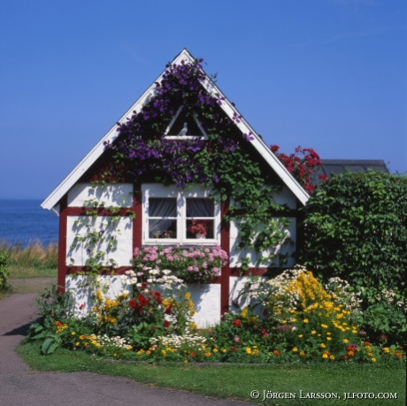 Skånehus i Arild Skåne