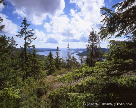 Skuleberget Angermanland Sweden