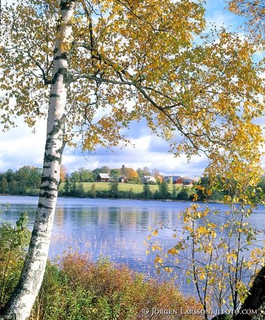 Gårdar vid sjön Algunnen Småland