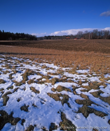 Snösmältning Bornsjöns nat res Södermanland