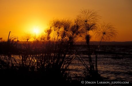 Sunset Lake Victoria Kenya