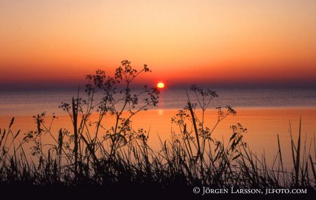 Sunset Gotland Sweden