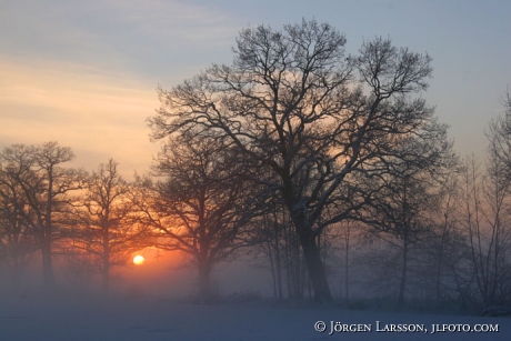 Soldis vinter Mörkö Södermanland