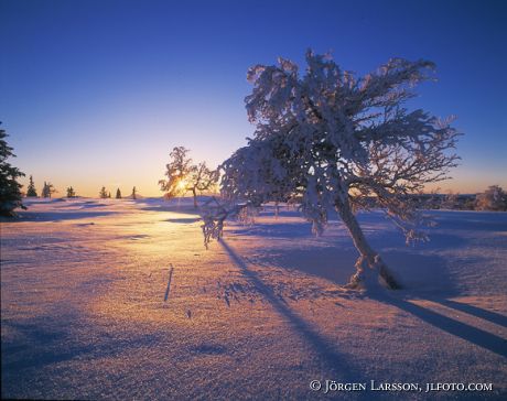 Sörvattnet Härjedalen