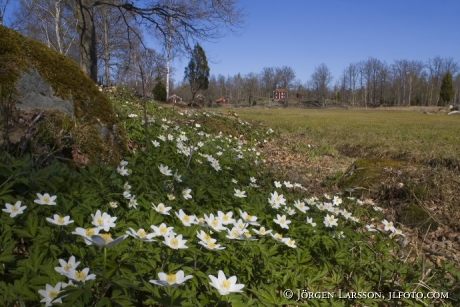 Stensjö by Småland