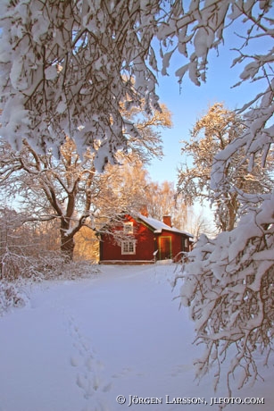 Röd stuga vinter Näslandet Gröding Södermanland