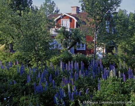 Byle Östergötland