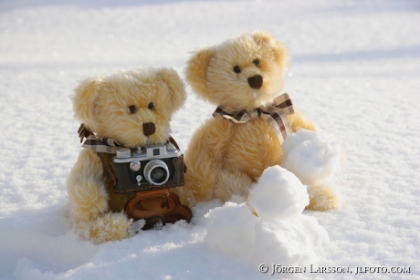 Teddybjörnar i snö kamera nallar