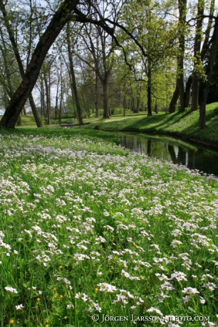 Tullgarns slottspark