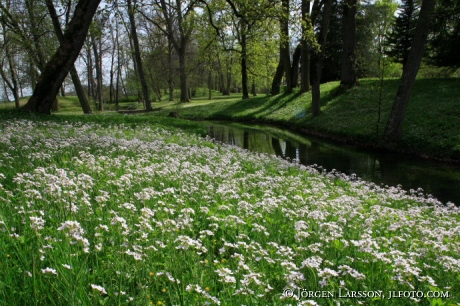 Tullgarns slottspark