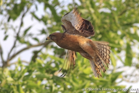 Merchinson Nat Park Uganda