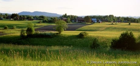 Utanmyra Sollerön Dalarna Sverige