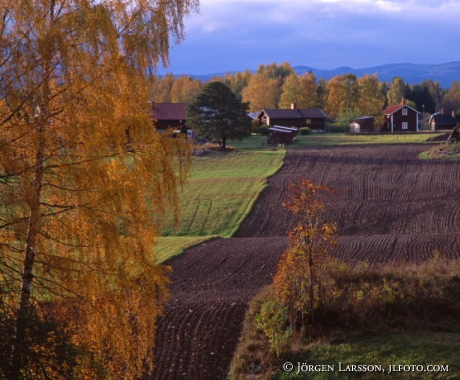 Utanmyra Sollerön Dalarna