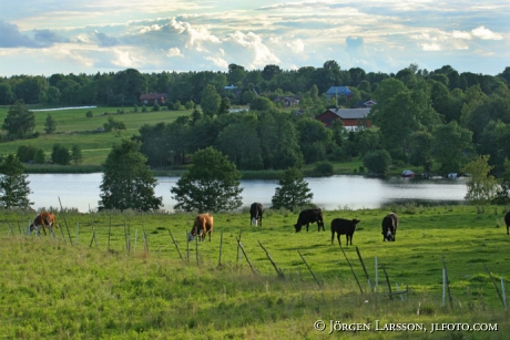 Väddö Uppland