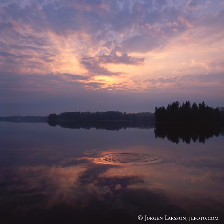 Vibjorken Sodermanland Sweden