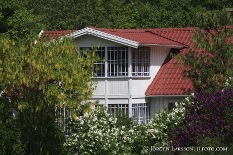 Veranda blommande trädgård Bleikinge