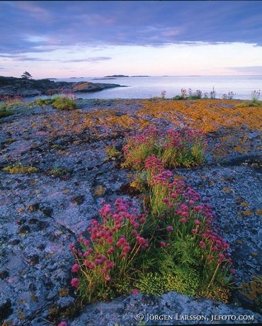 Viskar Smaland Sweden