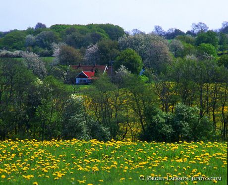 Vitaby Skåne