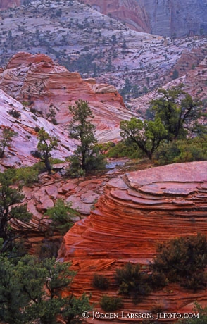 Zions nat park Utah USA