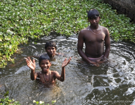 Indien Kerala  Backwater