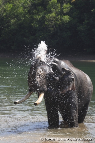 India Kerala 