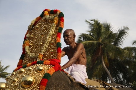 Elephantparade Kerala India